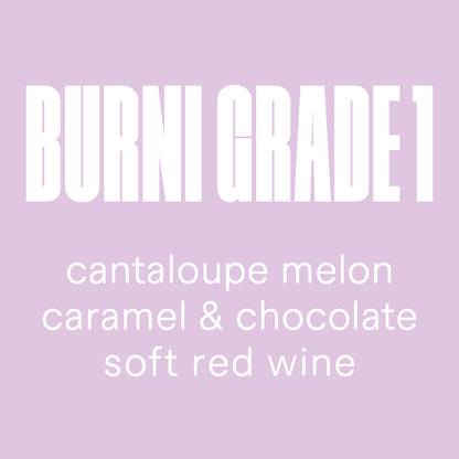 Indonesia | Burni Grade 1 [organic]