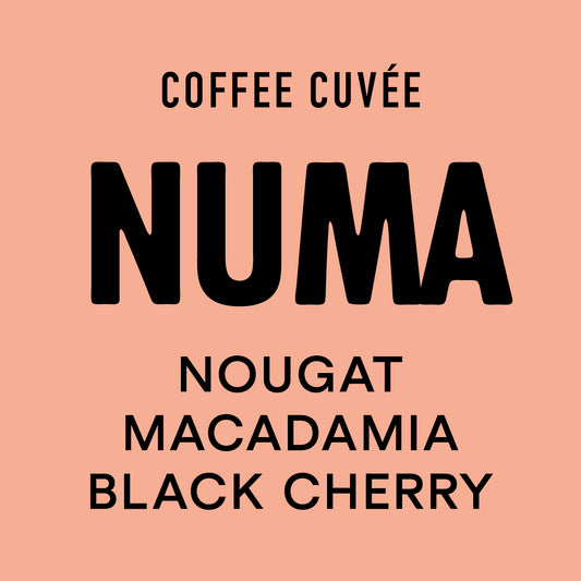 Numa | Filter [organic]