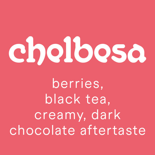 Ethiopia | Chelbesa [organic]