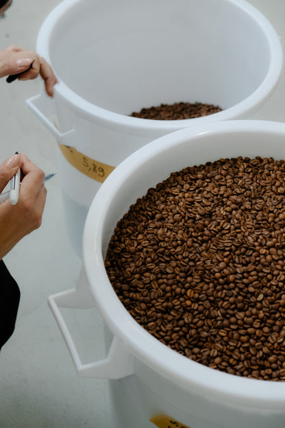 NANO KAFFEE EXPERIENCE