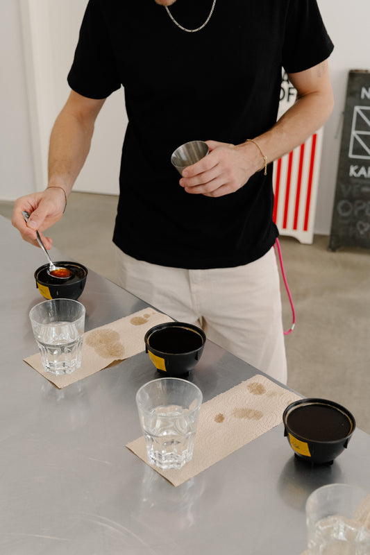 NANO KAFFEE × 2b Coffee Studio